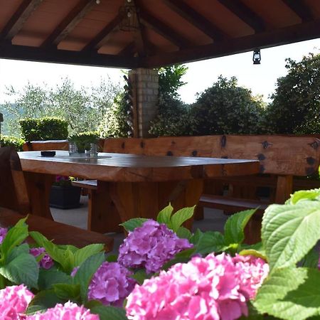 Apartman Fachin Motovun Exterior photo